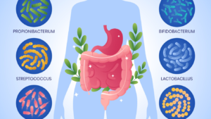 Gut Health Microbiome Diet: Food groups, Meal plan